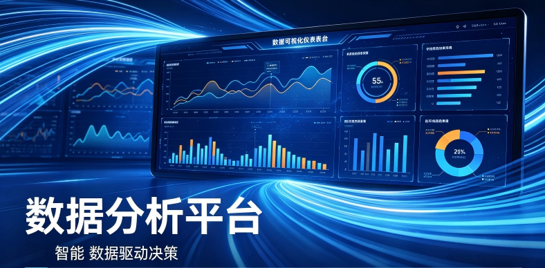 数据分析平台